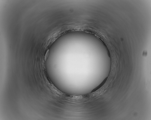 X0000090710720200707200951
