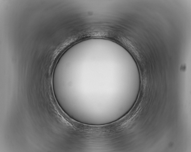 X0000090710721200707200951