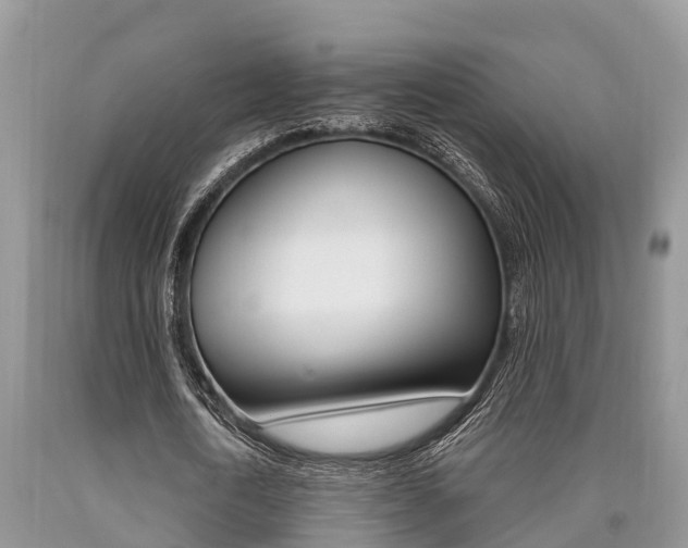 X0000090710722200707200951