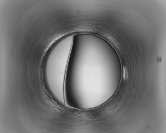 X0000090710723200707200951