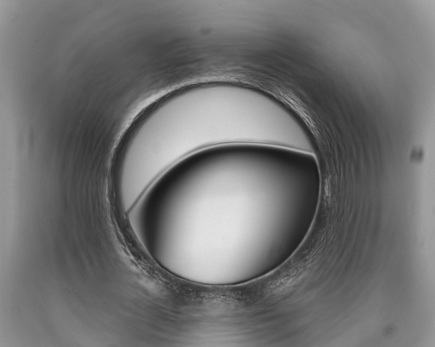 X0000090710724200707200951