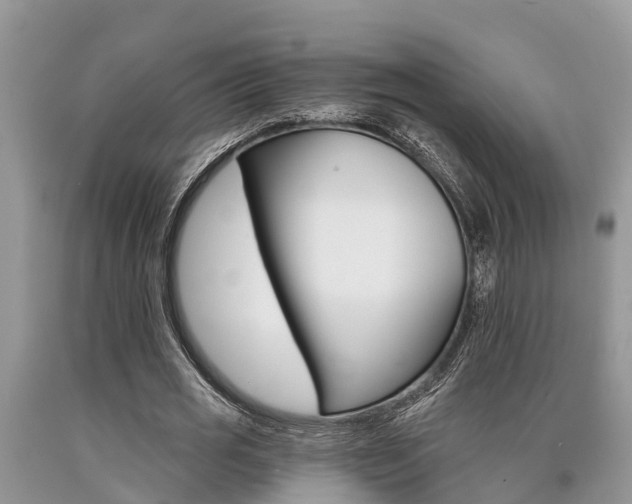 X0000090710725200707200951