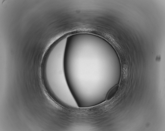 X0000090710726200707200951