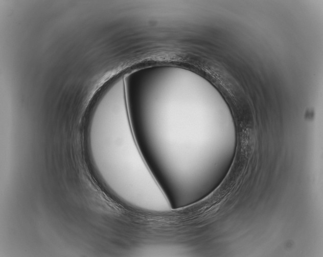 X0000090710727200707200951