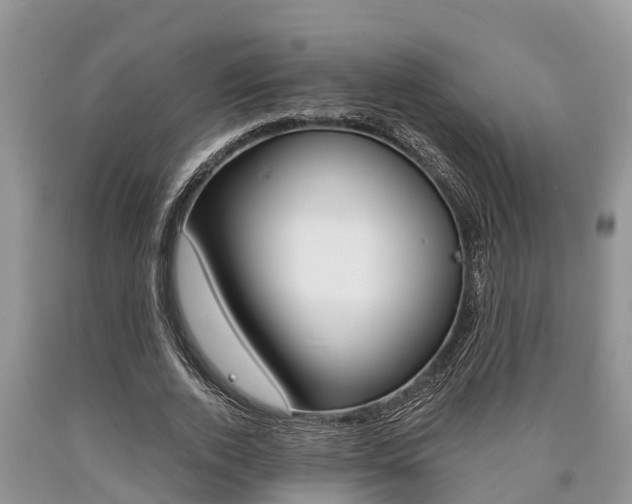 X0000090710728200707200951