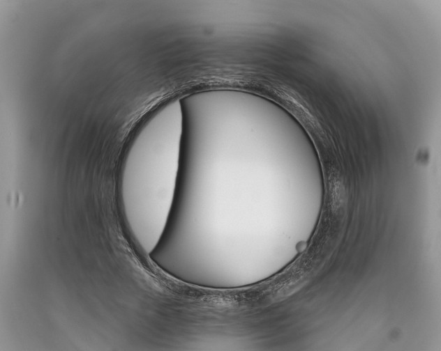 X0000090710729200707200951