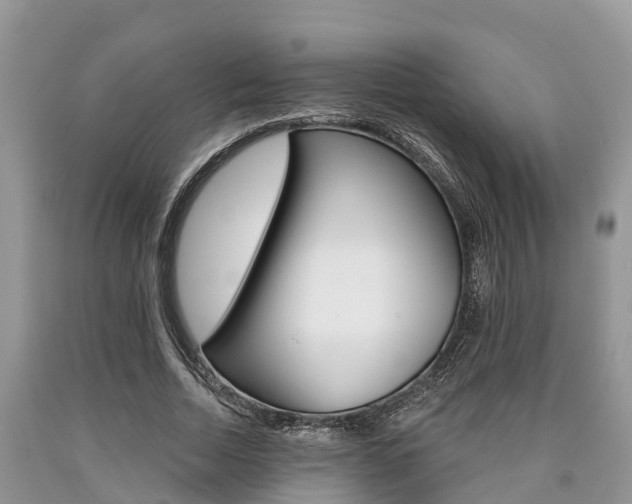 X0000090710730200707200951