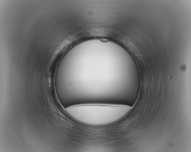 X0000090710731200707200951