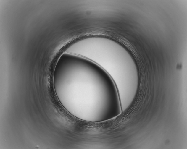 X0000090710732200707200951