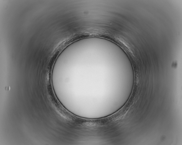 X0000090710733200707200951