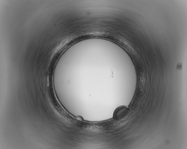 X0000090710734200707200951