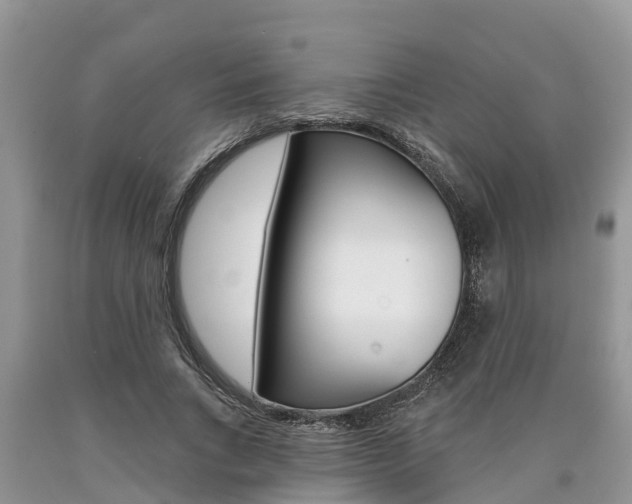 X0000090710735200707200951