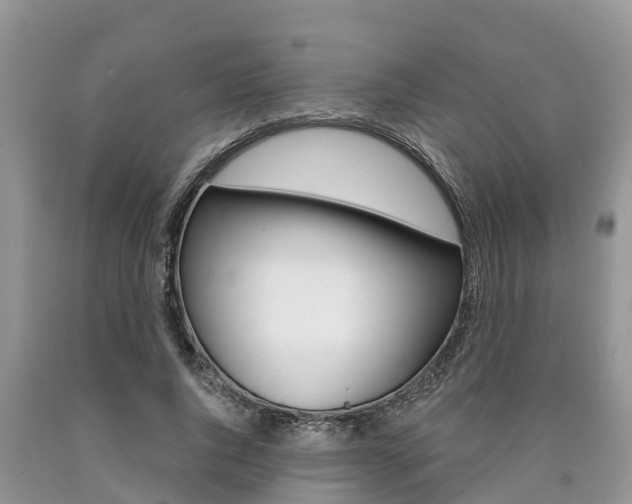 X0000090710736200707200951