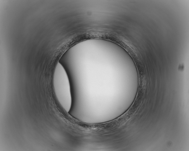 X0000090710737200707200951