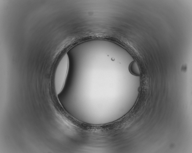X0000090710738200707200951
