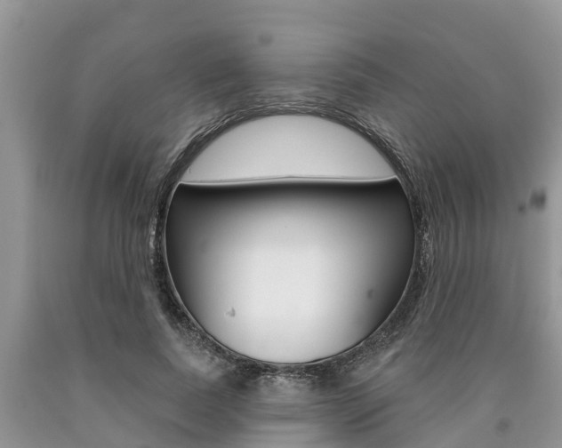 X0000090710739200707200951