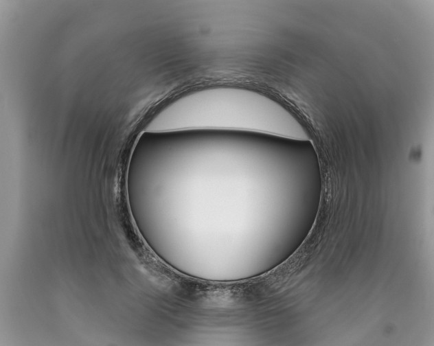 X0000090710740200707200951
