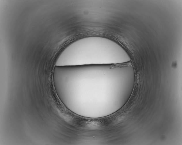 X0000090710741200707200951