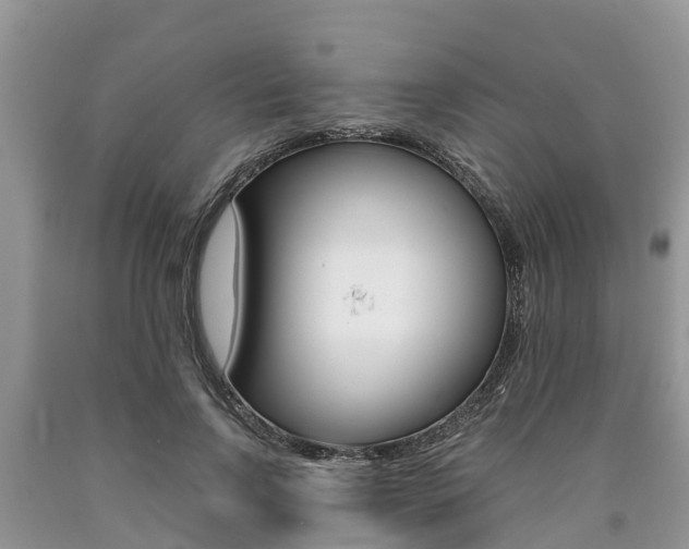 X0000090710742200707200951