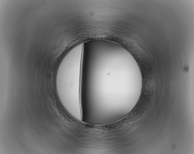 X0000090710743200707200951