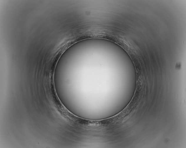X0000090710744200707200951