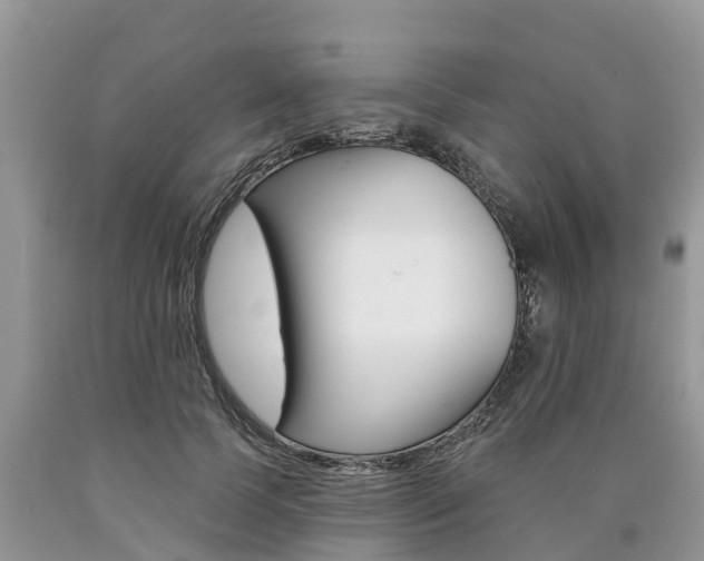 X0000090710745200707200951