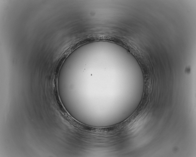 X0000090710746200707200951