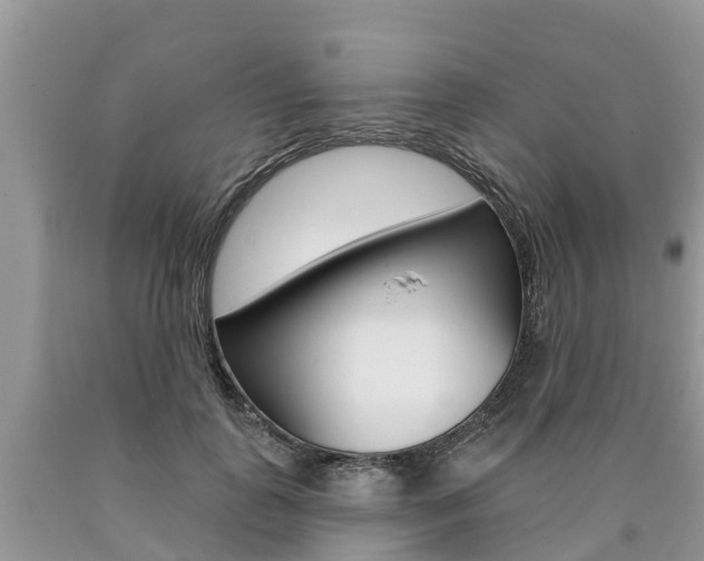 X0000090710747200707200951