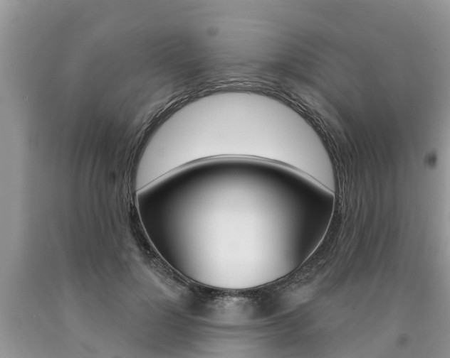 X0000090710748200707200951