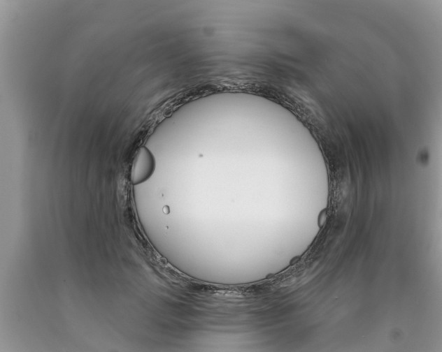 X0000090710749200707200951