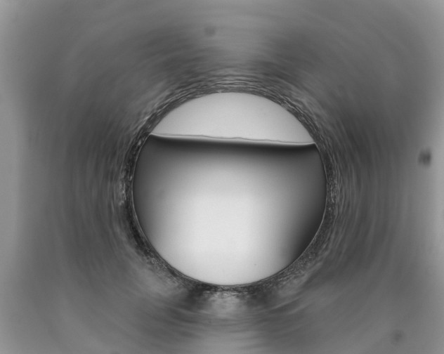 X0000090710751200707200951