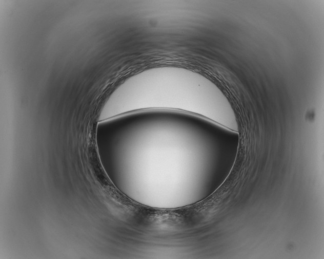 X0000090710752200707200951