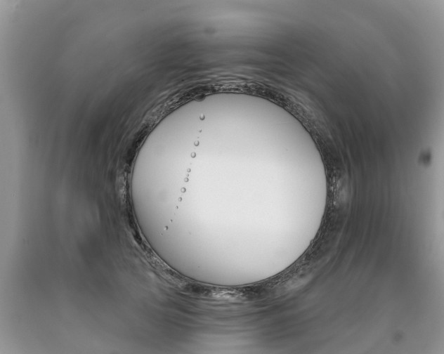 X0000090710753200707200951