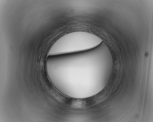 X0000090710754200707200951