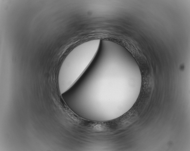 X0000090710755200707200951