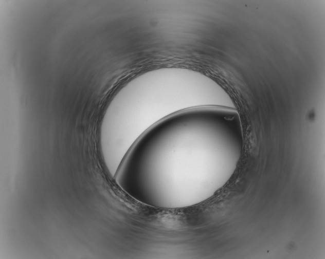 X0000090710756200707200951