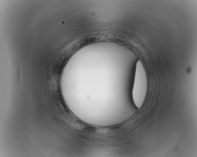 X0000090710757200707200951