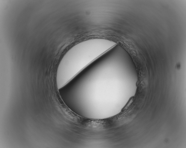 X0000090710758200707200951