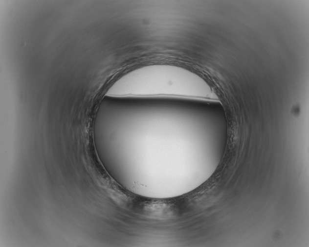 X0000090710759200707200951