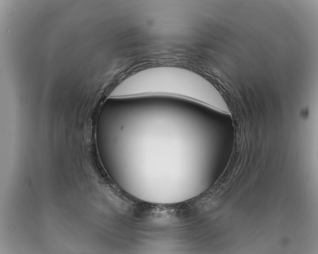 X0000090710760200707200951