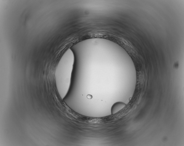 X0000090710761200707200951