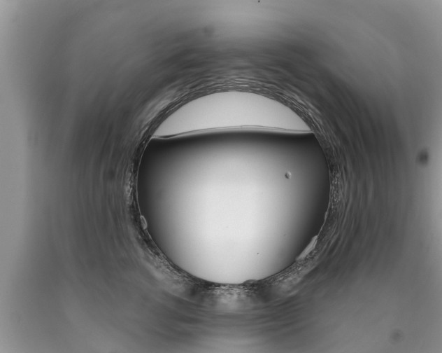 X0000090710762200707200951