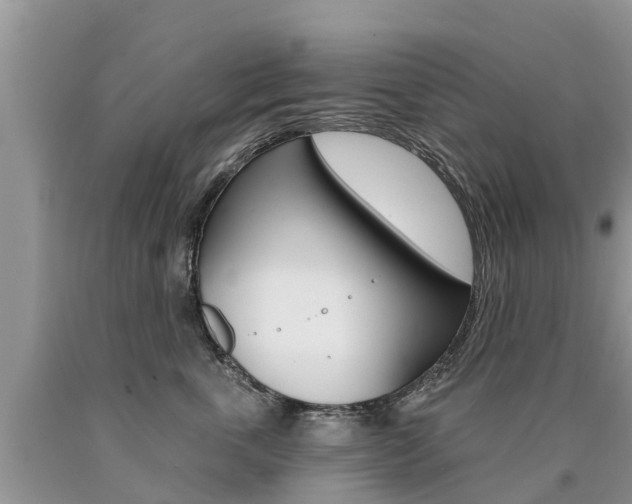 X0000090710763200707200951