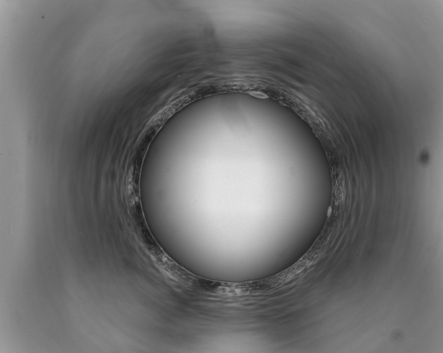 X0000090710764200707200951