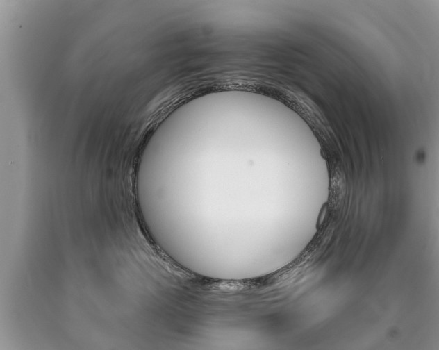 X0000090710765200707200951