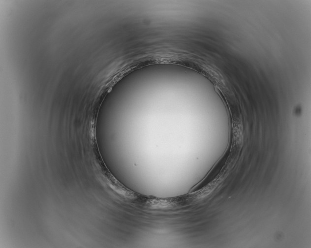 X0000090710766200707200951