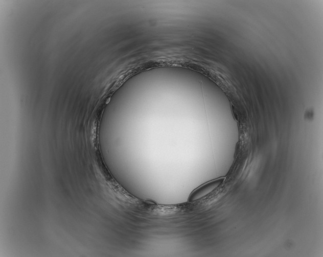 X0000090710767200707200951