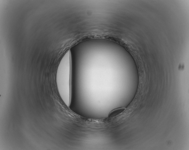 X0000090710768200707200951