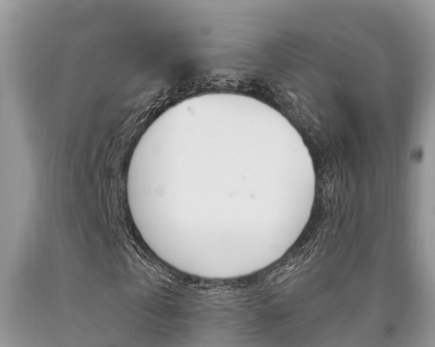 X0000090710769200707200951