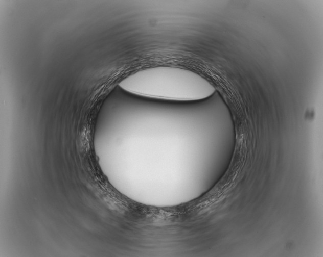 X0000090710772200707200950